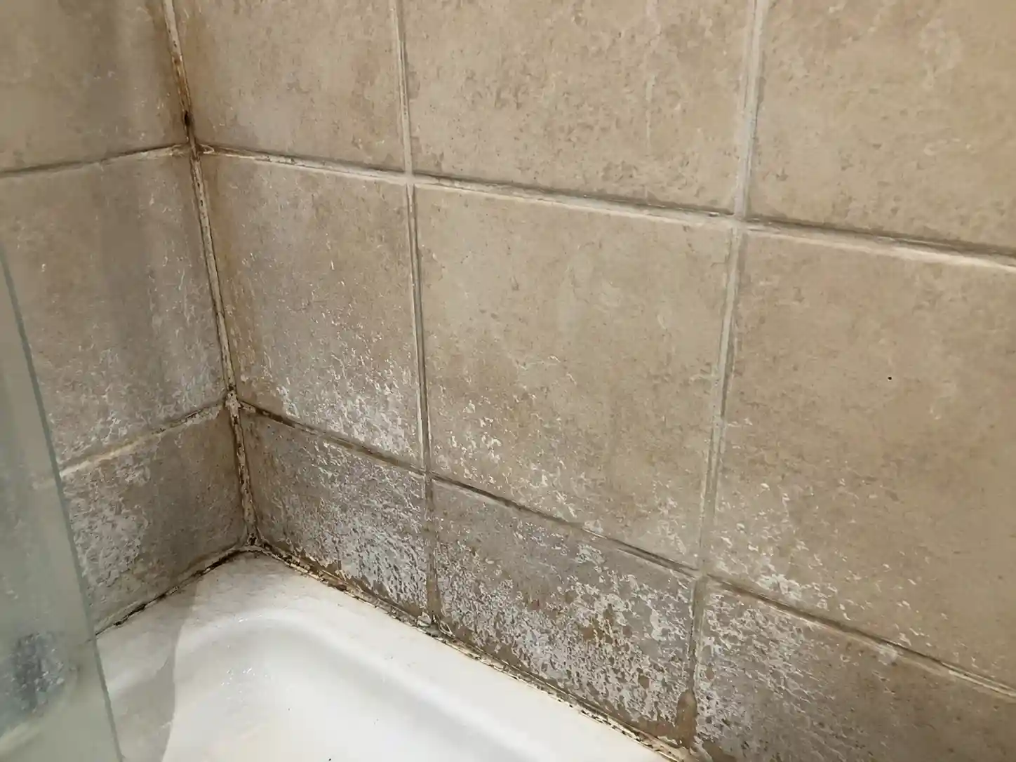 Hard water stains and dirty grout lines on a shower wall